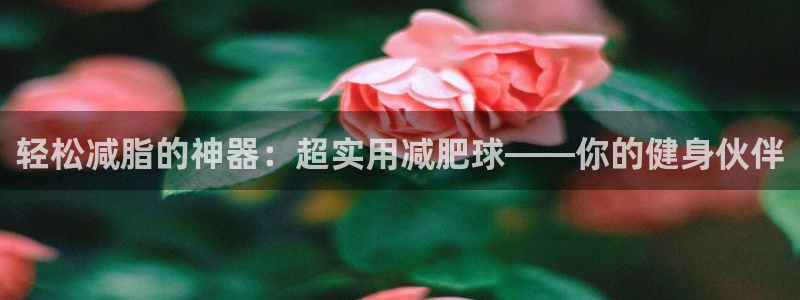 678体育官方正版app集团logo：轻松减脂的神器