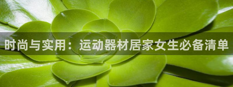 678体育官方正版app娱乐网站：时尚与实用：运动器材居家女