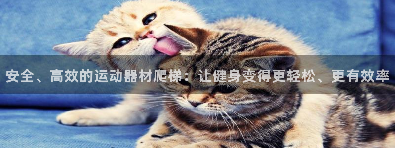 678体育官网下载招商电话号码
