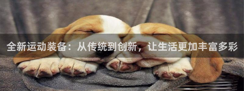 678体育官网下载招商电话：全新运动装备：从传统到创