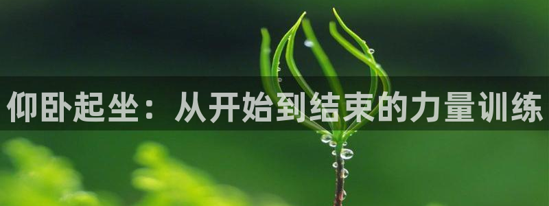 678体育官方正版app娱乐下载：仰卧起坐：从开始到结束的力