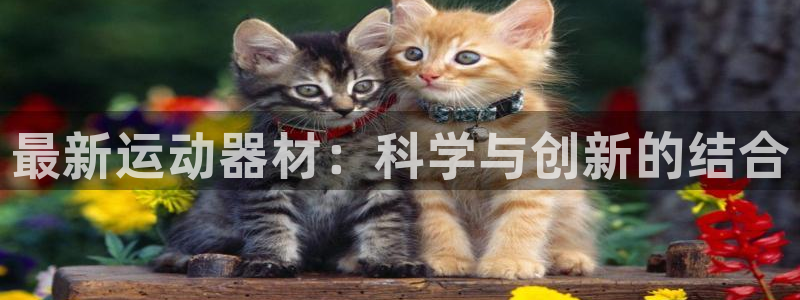 678体育官方正版app集团简介：最新运动器材：科学