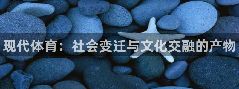 熊猫体育手机版