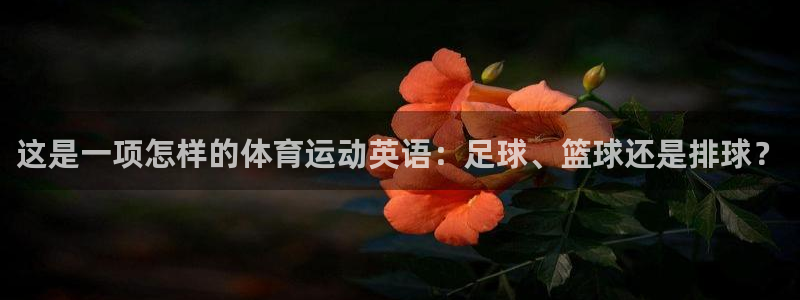 熊猫体育怎么样