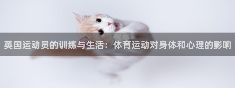 熊猫体育平台