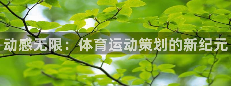 熊猫体育