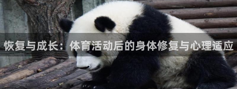 熊猫体育官网首页入口：恢复与成长：体育活动后的身体修复与心理适应