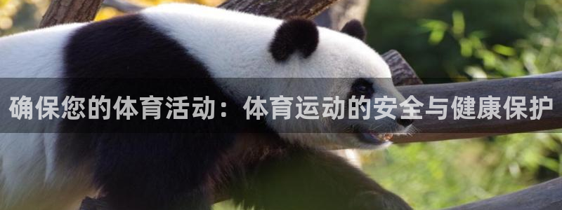 中山熊猫体育：确保您的体育活动：体育运动的安全与健康保护