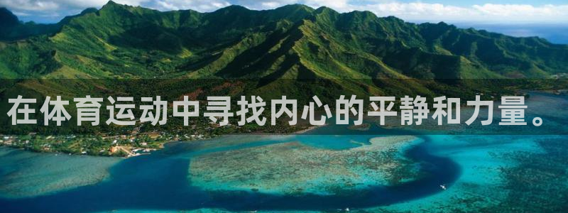 熊猫体育文化有限公司：在体育运动中寻找内心的平静和力量。