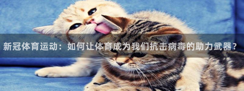 熊猫体育官方网站：新冠体育运动：如何让体育成为我们抗击病毒的助力武器？