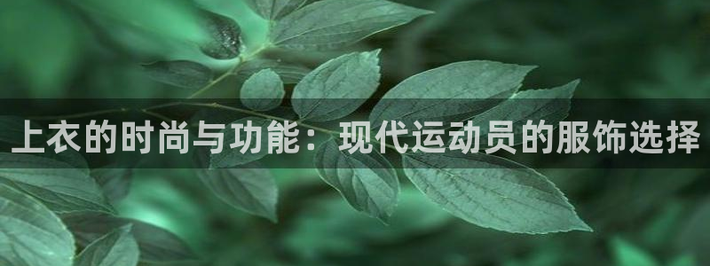 动感熊猫体育公园