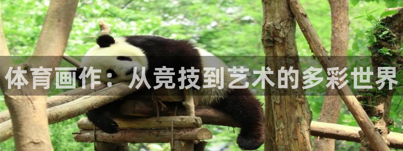 熊猫体育网站：体育画作：从竞技到艺术的多彩世界