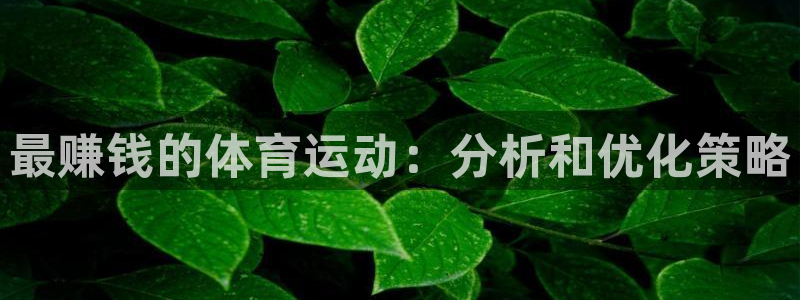 熊猫体育手机版下载：最赚钱的体育运动：分析和优化策略
