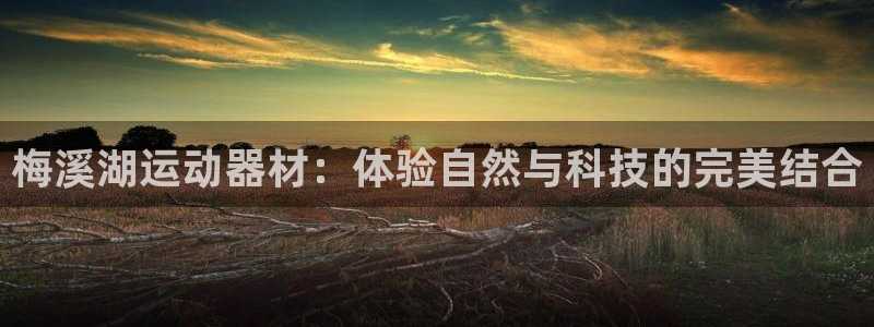 678体育官网下载平台注册要钱吗：梅溪湖运动器材：体验自然与