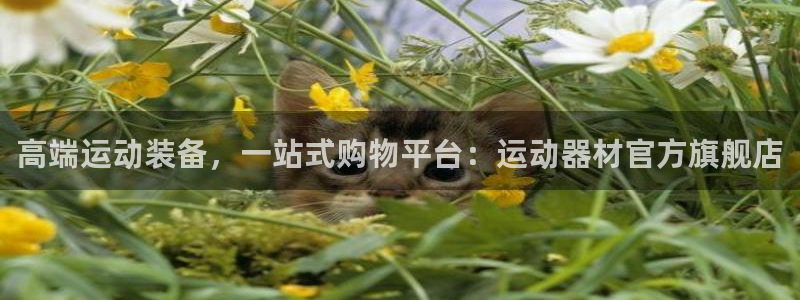 678体育官网下载招商电话地址查询：高端运动装备，一