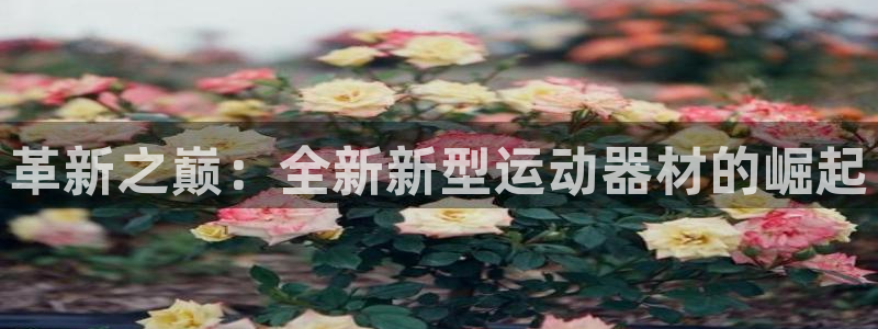 德国678体育官方正版app集团：革新之巅：全新新型运动器材